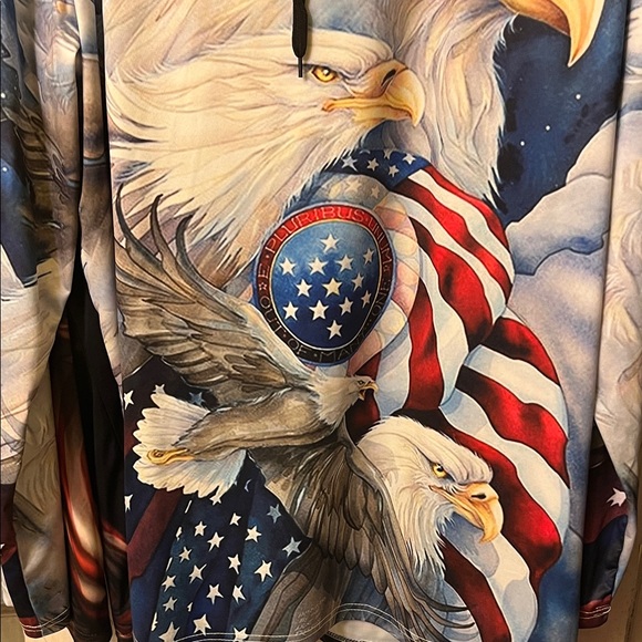 Two Eagle and Flag Graphic Hoodies Bundle - Picture 8 of 12